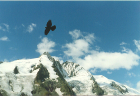 montagna